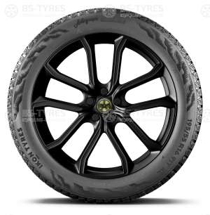 Ikon (Nokian Tyres) Autograph Snow 5 SUV 255/55 R18 109R